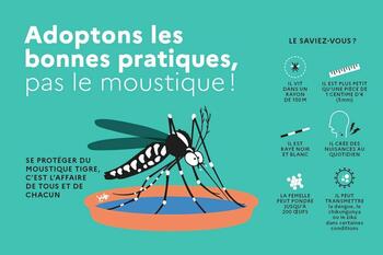 Adoptons les bonnes pratiques, pas le moustique